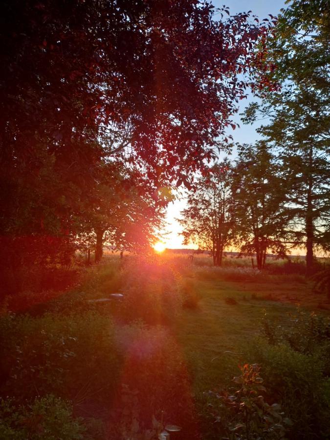 Chez Noelle Bed & Breakfast Illiers-Combray Bagian luar foto